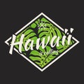 Hawaii tee print with with tropical leaves.