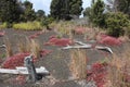 Hawaii Volcanoes National Park Landscape