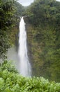 Hawaii waterfall Royalty Free Stock Photo