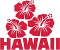 Hawaii word with hibiscus flowers