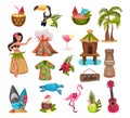 Hawaiian Aloha Symbols and Exotic Island Attribute Big Vector Set