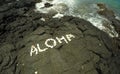 Hawaiian Aloha Royalty Free Stock Photo