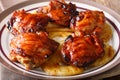 Hawaiian BBQ huli huli: Grilled chicken glazed with pineapple cl