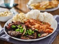 Hawaiian bbq plate with mix of chicken katsu, korean kalbi beef short ribs, rice, and macaroni salad Royalty Free Stock Photo