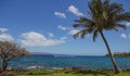 Hawaiian beach background. Enjoying paradise in Hawaii. Panorama tropical landscape of summer scenery with palm trees Royalty Free Stock Photo