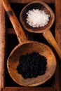 Hawaiian Black lava sea salt in rustic wooden spoon