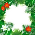 Hawaiian border frame vector illustration. tropical hibiscus flowers card with beautiful plants. Tropic coconut palms leaves on a