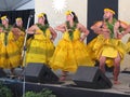 Hawaiian Dance Troupe Performance Royalty Free Stock Photo