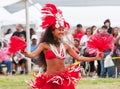 Hawaiian Dancer