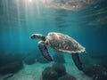 Hawaiian Green Sea Turtle (Chelonia mydas). Made with Generative AI