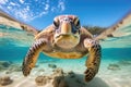 Hawaiian Green Sea Turtle Chelonia mydas swimming underwater, Green sea turtle swimming around colorful coral reef formations in