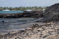 Hawaiian Green Sea Turtle - Hono Royalty Free Stock Photo