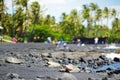 Hawaiian green turtles relaxing at Punaluu Black Sand Beach on the Big Island of Hawaii Royalty Free Stock Photo