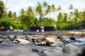 Hawaiian green turtles relaxing at Punaluu Black Sand Beach on the Big Island of Hawaii Royalty Free Stock Photo