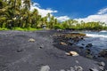 Hawaiian green turtles relaxing at Punaluu Black Sand Beach on the Big Island of Hawaii