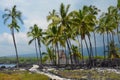 Hawaiian Heiau