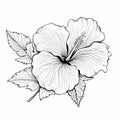 Black And White Hibiscus: Realistic Yet Stylized Line Illustration