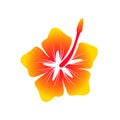 Hawaiian Hibiscus Flower Symbol Design Royalty Free Stock Photo