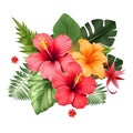 Hawaiian hibiscus flower vector illustration isolated on white background Royalty Free Stock Photo