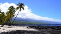 Hawaiian Lava Rock Beach, Big island