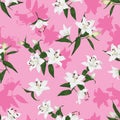 Hawaiian lilies pink seamless vector print