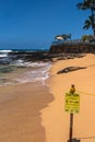 Seal resting on Poipu Beach, Kauai, Hawaii Royalty Free Stock Photo