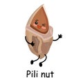 Hawaiian Pili nut. Exotic products. Cute character with arms and legs