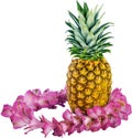 Hawaiian pineapple and fresh purple flower lei Royalty Free Stock Photo