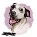 Hawaiian Poi Dog extinct breed of pariah dog from Hawai. Hand drawn digital art dog portrait, american cute animal, domesticated
