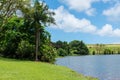 Hawaiian Rain Forest in the Koolaus