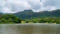 Hawaiian Rain Forest in the Koolaus