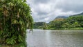 Hawaiian Rain Forest in the Koolaus