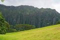 Hawaiian Rain Forest in the Koolaus