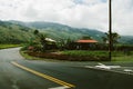 Hawaiian Roadside coconuts