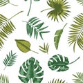 Hawaiian seamless pattern with tropical foliage on white background. Natural backdrop with green leaves of exotic