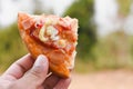 Hawaiian sliced pizza with ham and pineapple in men`s hands Royalty Free Stock Photo