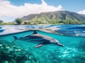 Ai Generated illustration Wildlife Concept of Hawaiian Spinner Dolphin