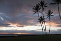 Hawaiian Sunrise Royalty Free Stock Photo