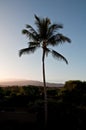 Hawaiian Sunrise with Vog Royalty Free Stock Photo