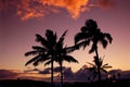 Hawaiian Sunset