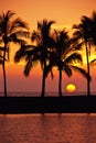 Hawaiian Sunset Royalty Free Stock Photo