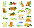 Hawaiian Symbols and Beach and Summer Rest Attribute Big Vector Set