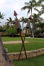 Hawaiian Tiki Torches