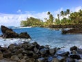 Hawaiian tropical coastline - the Road to Hana