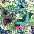 Hawaiian Tropical jungle colorful watercolor hand drawn seamless pattern with plants and butterflies