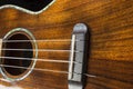 Hawaiian ukulele detail with rich wood grain textures.