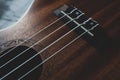 Hawaiian ukulele, Mahogany ukulele close-up on dark background