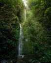 Hawaiian waterfall