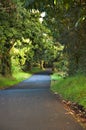 Hawiian Country Lane Royalty Free Stock Photo