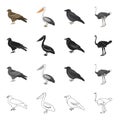 A hawk, a bird of prey, a pelican, a gray crow, an emu ostrich. Bird set collection icons in cartoon black monochrome Royalty Free Stock Photo